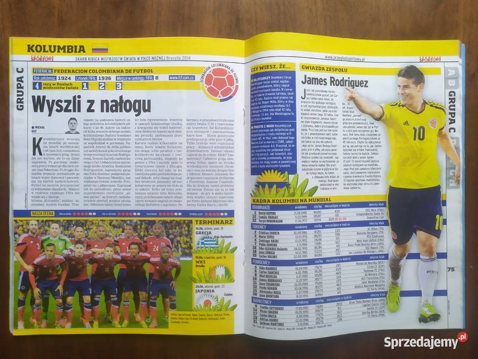 Skarb kibica MŚ 2014 łódzkie Łódź