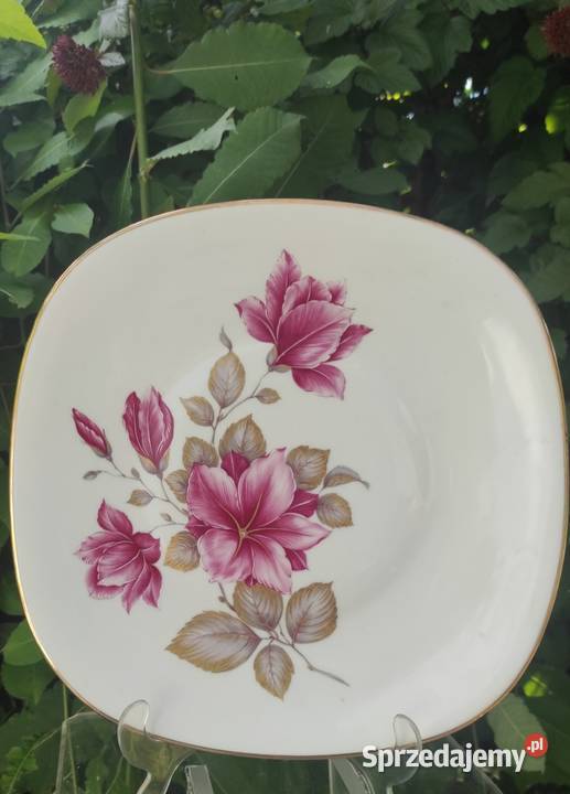 PIĘKNA DUŻA  PATERA BAVARIA WINTERLING ROSLAU  Pabianice sprzedam