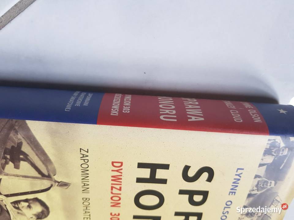 Sprawa honoru Dywizjon 303 Kościuszkowski Olson historia, archeologia Kielce