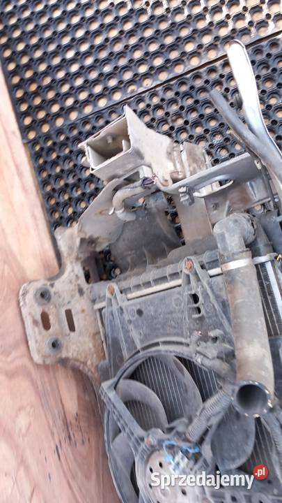ALFA ROMEO GT 19 JTD PAS PRZEDNI KOMPLET Pasy przednie i tylne wielkopolskie Zbierkowo