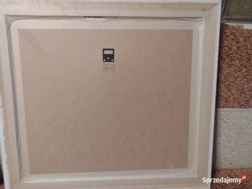 Wydruki francuskich litografii historycznych w