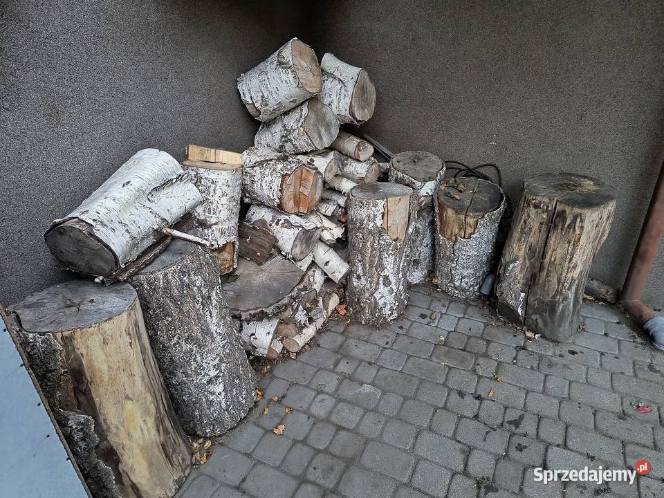 Sprzedam drewno brzoza do kominka Gdynia