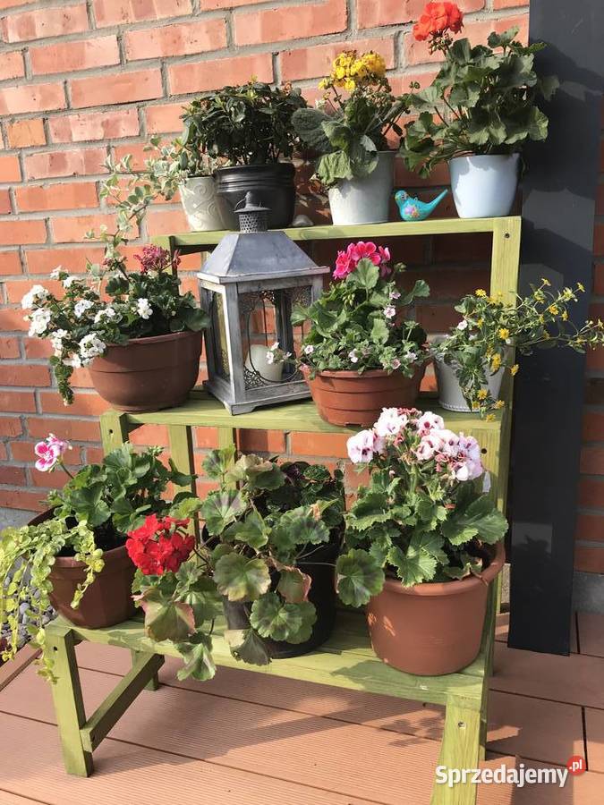 Super kwietnik regał drewniany 50 x 20 x 60 50cm kujawsko-pomorskie Bydgoszcz