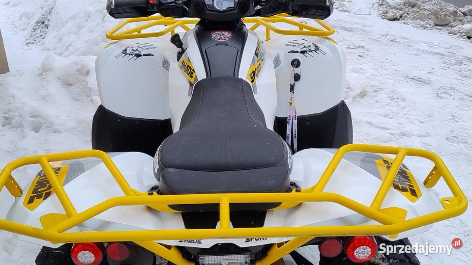 Access 650efi 2019r 4x4 Kymco TGB Sym Cfmoto Nowy Dwór Mazowiecki