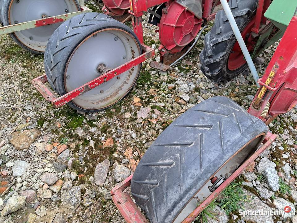 Siewnik do kukurydzy HASSIA 4 rzędowy z nieuszkodzony Kłodawa sprzedam