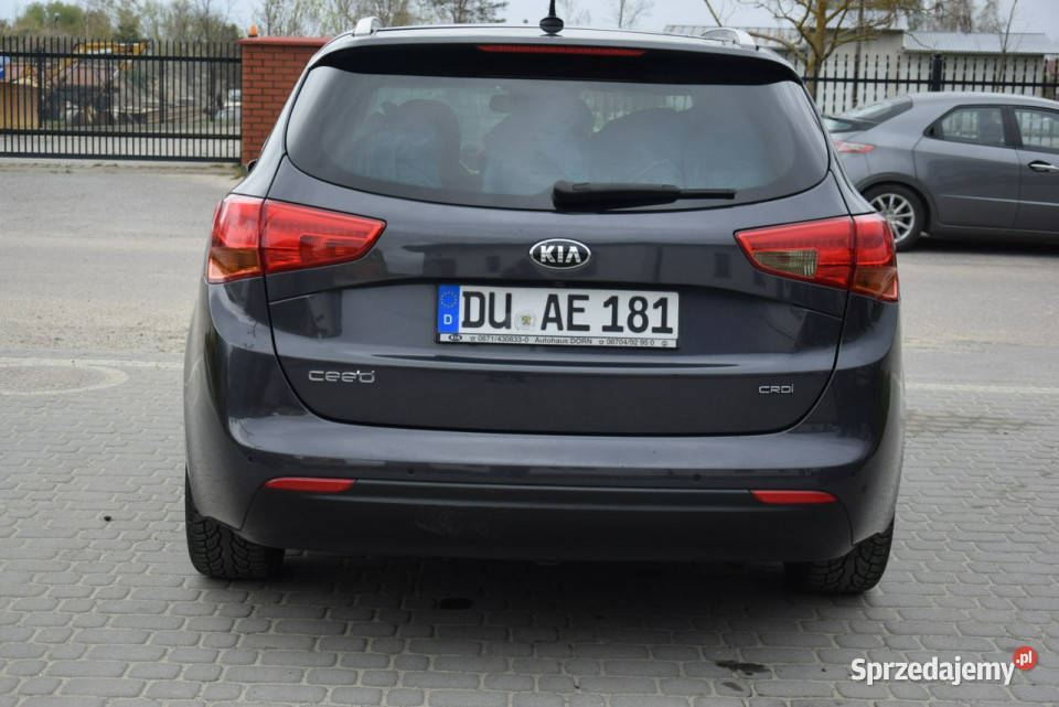 Kia Ceed 16D Navi Kamera Led PDC 2 KPL KÓŁ lakier metallic Majdan Sieniawski