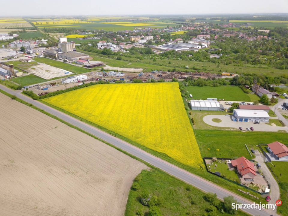 Syndyk Sprzeda Działkę W Grodkowie Grodków - Sprzedajemy.pl