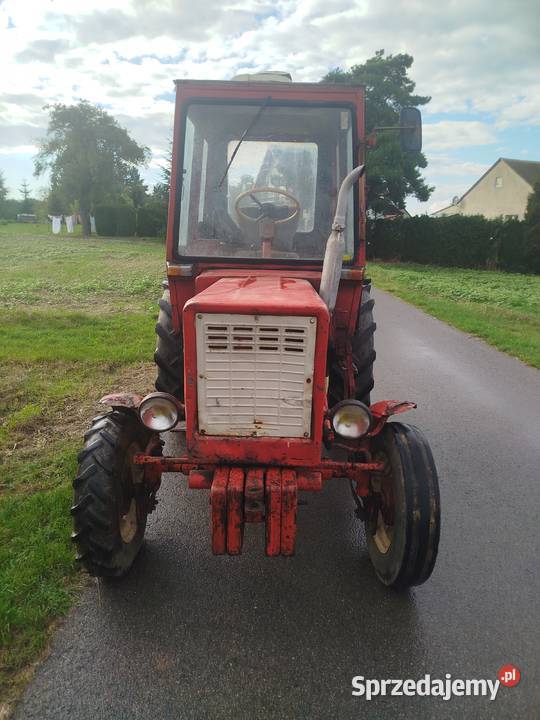 Władymirec t25 Kunów sprzedam