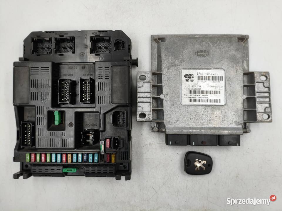 Sterownik Silnika Peugeot 307 20 16v RFN
