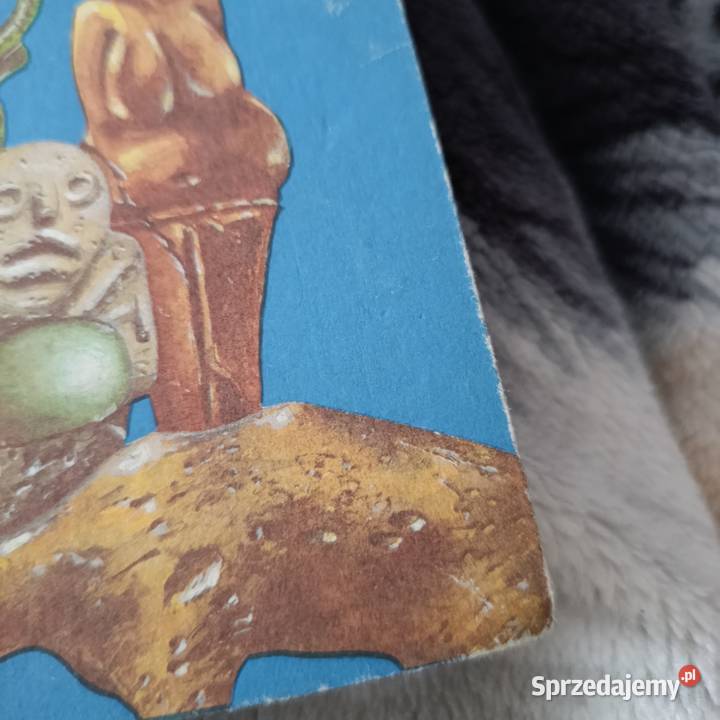 Mosty w przeszłośćarcheologiczne sensacje Poznań
