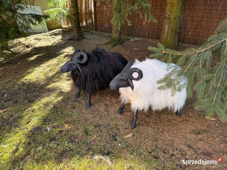 Krzesło baran dekoracyjny drewniany ze skóry Figurki i rzeźby małopolskie sprzedam