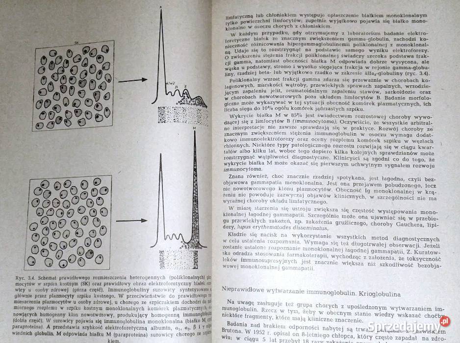 Wykłady kliniczne z zakresu patofizjologii i Chełm sprzedam