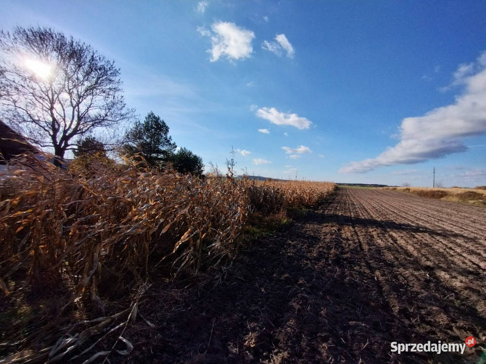 Dom wolnostojący 80m2 Hruszów 1 piętro