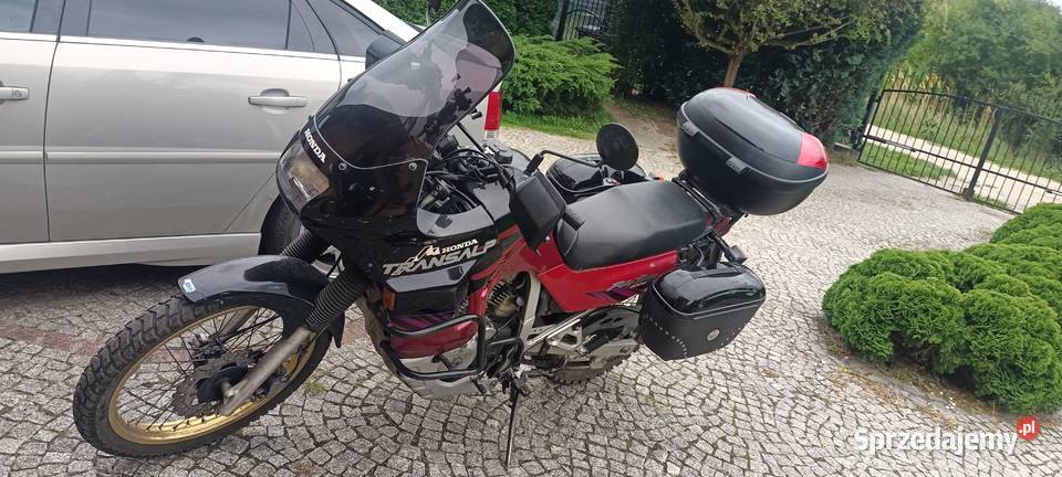 Honda Transalp Ścinawa