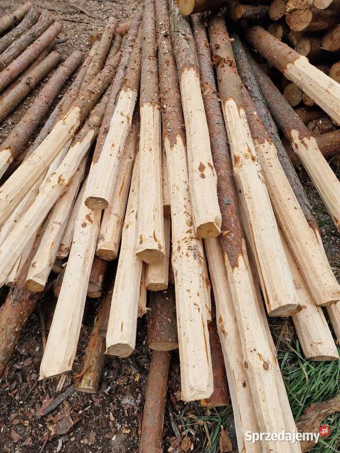 Słupki sosnowe Żerdzie Ogrodzenie z siatki Zielona Góra