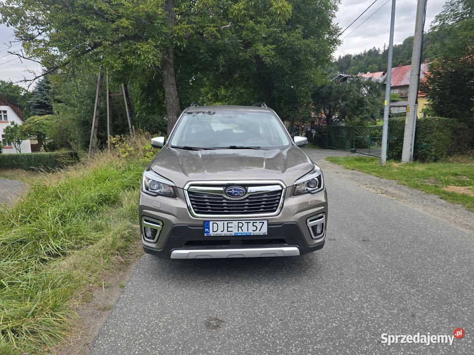 Forester 20 Eboxer Kowary sprzedam