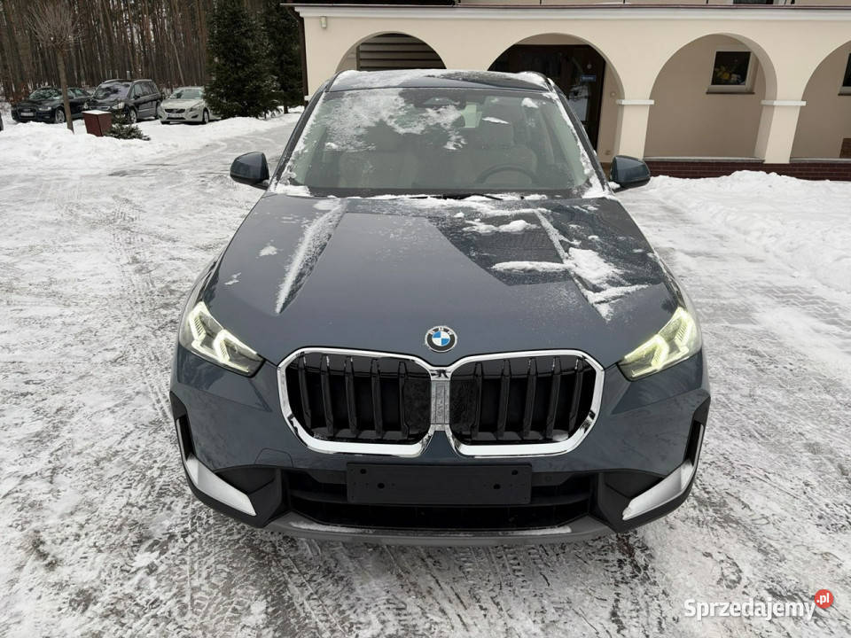 BMW X1 20 diesel Automat Skóry Podgrzewane Lipówki