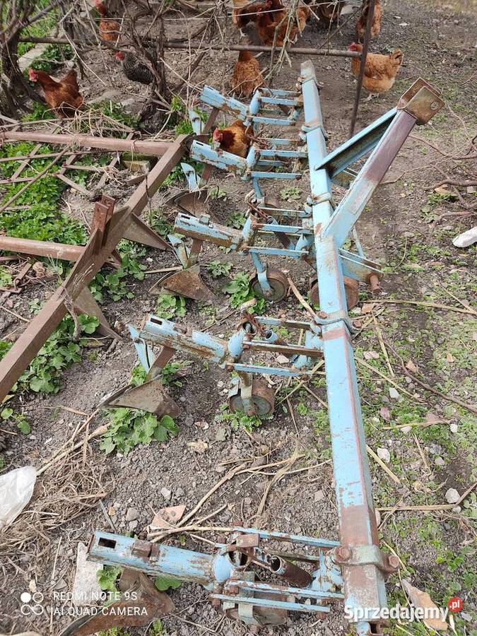 Brony Szaniawy-Matysy sprzedam