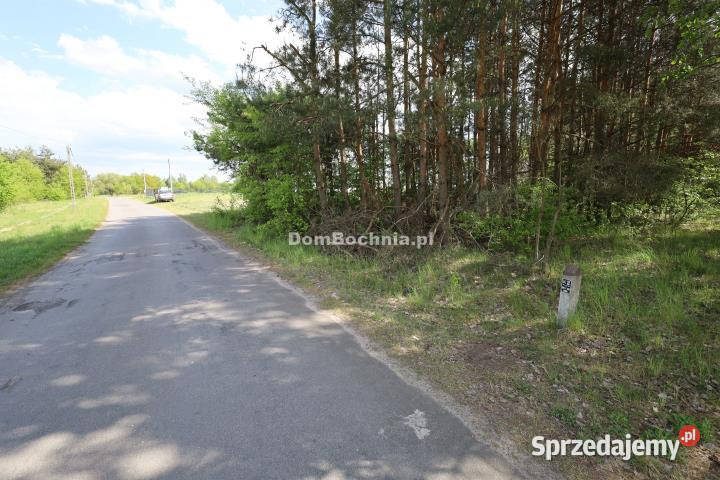 Ogłoszenie grunt 12400m2 Dębina sprzedam