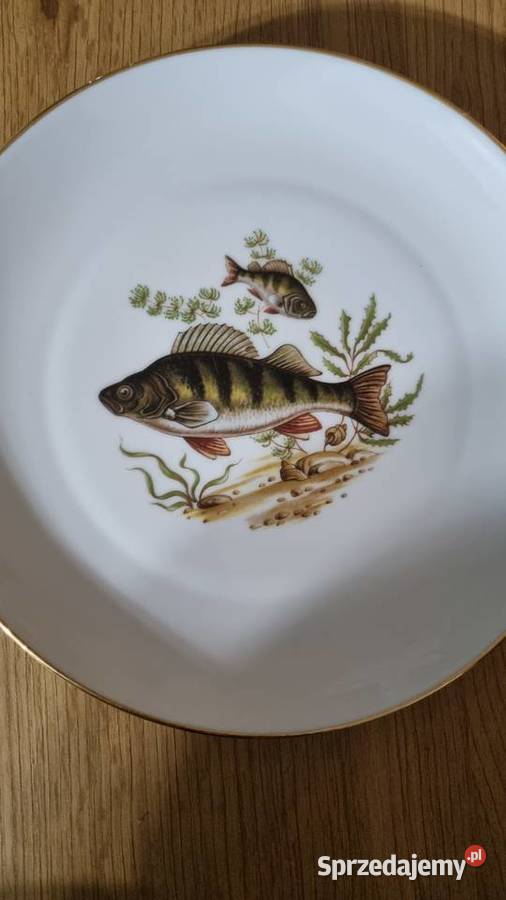 Talerze do ryb Porcelana Francuska Limoges Talerze i talerzyki Wola Podłężna