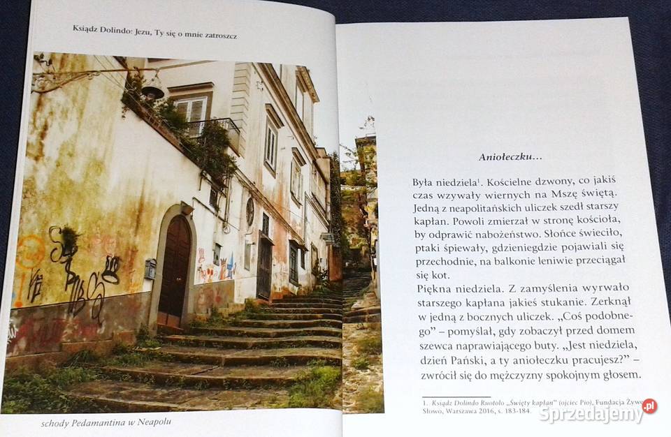 Ksiądz Dolindo Beata Legutko Marta Wielek Pozostałe Chełm