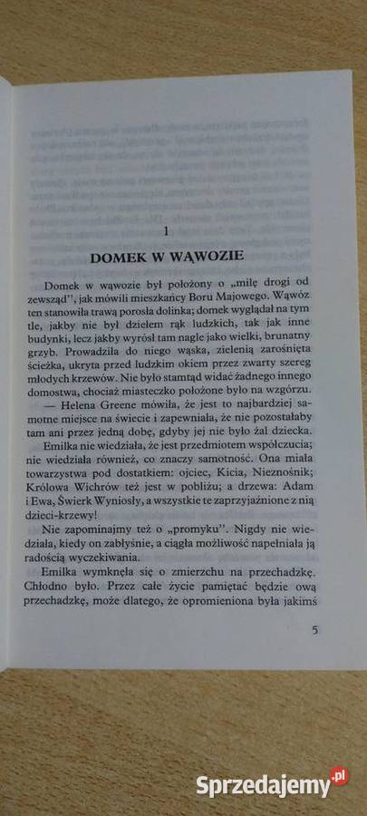 Emilia ze srebrnego Nowiu Lucy Maud Montgomety lubelskie Lublin