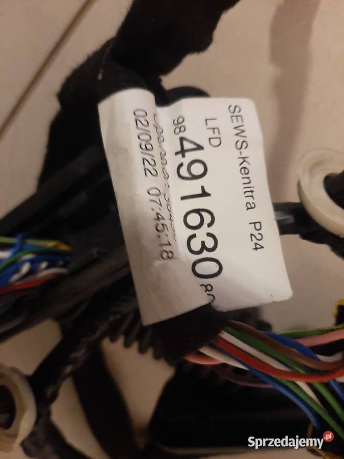 Wiązka drzwi lewy przód Peugeot 2008 II warmińsko-mazurskie Olsztyn