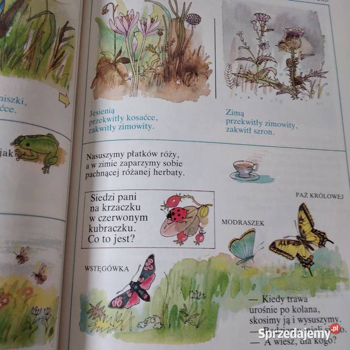 Sezamencyklopedia obrazkowa dzieci małopolskie Bukowno