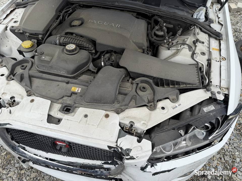 JAGUAR XF 30 V6 S 2012r 204 Skóra Automat Rok produkcji 2012 Prudnik