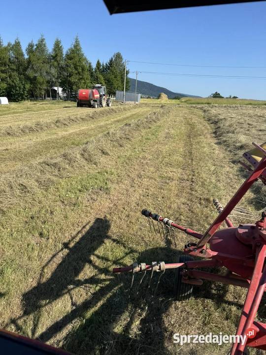 Siano Bele siana 120x130 TRANSPORT Kasina Wielka