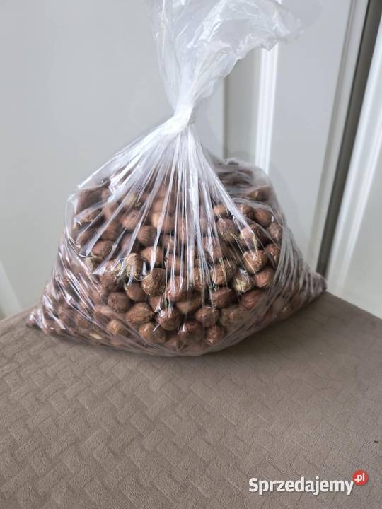 Orzechy laskowe łupane łuskane 1 Orzechy Lubenia