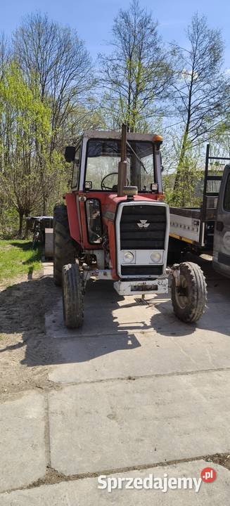 Ferguson 575 Jasienica Rosielna