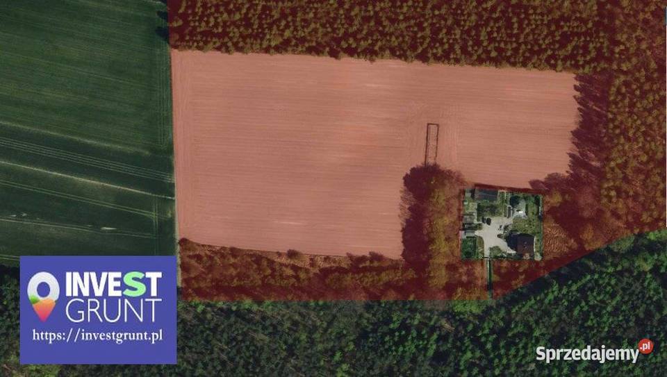 556 ha grunty rolne przetarg na dzierżawę łódzkie sprzedam