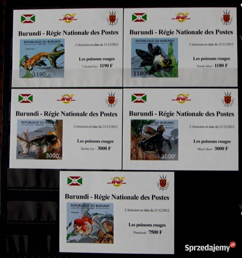 Burundi Oborniki sprzedam