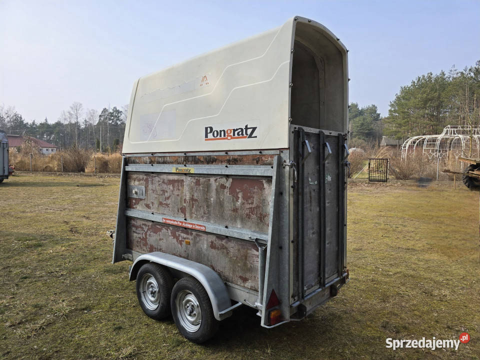 Przyczepa do przewozu koni zwierząt PONGRATZ PA Rok produkcji 1993 warmińsko-mazurskie Korpele