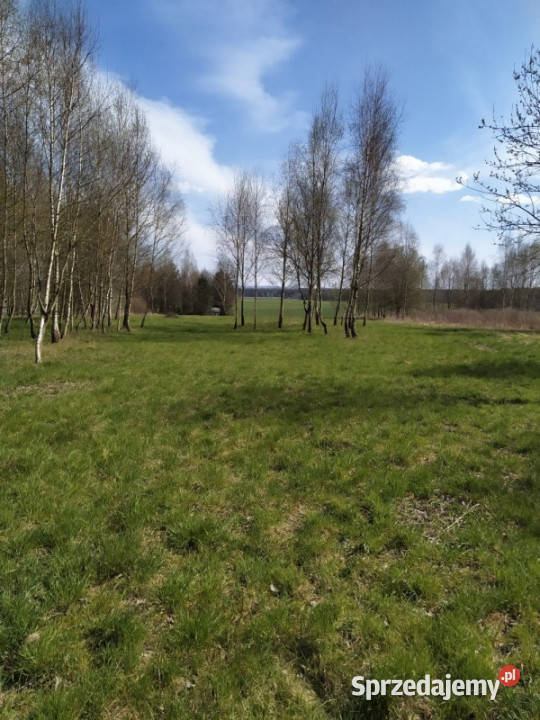 Działka budowlana 3942 m Myszków spokojna 3942m2 śląskie sprzedam