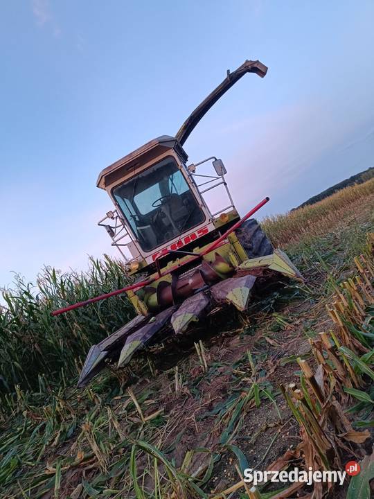 Sieczkarnia Claas jaguar 690 Siedlce sprzedam