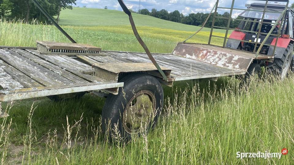 Przyczepa dłużycowa nieuszkodzony Ostrowice