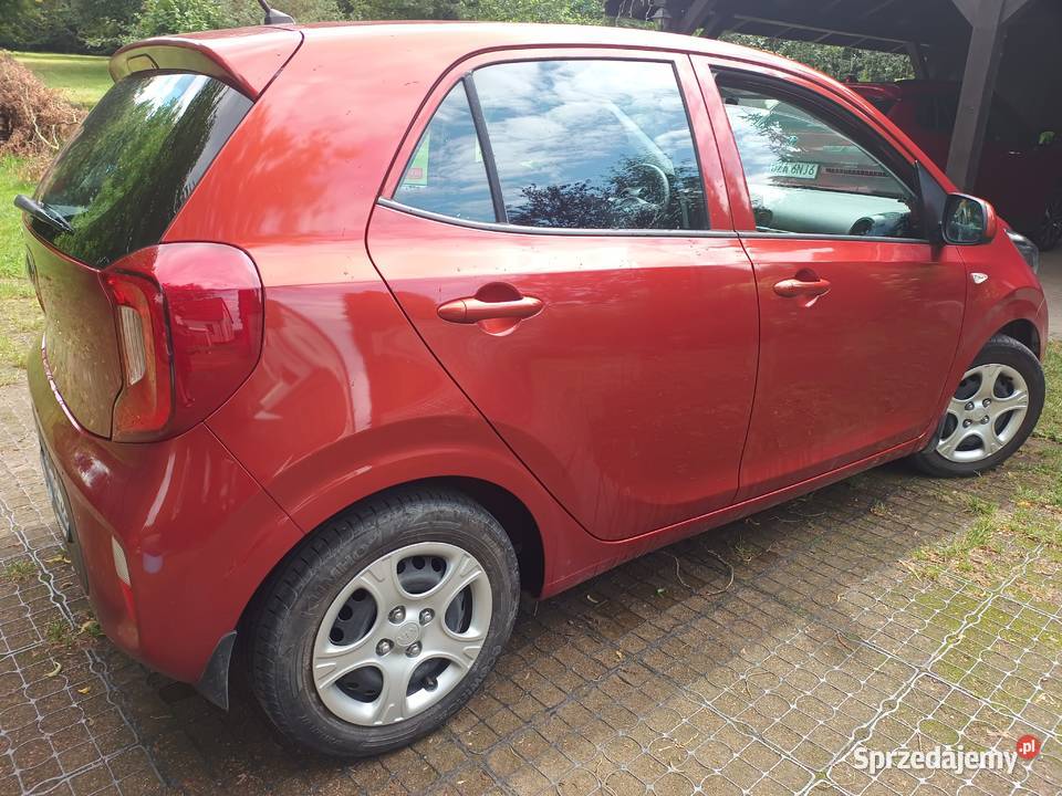 KIA PICANTO 10 2017r 65000 Kamieniec Ząbkowicki