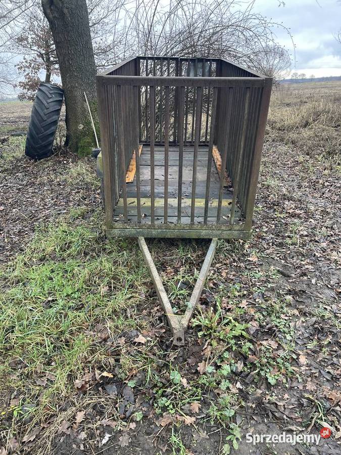 Sortownik do ziemniaków Przyczepy rolnicze lubuskie