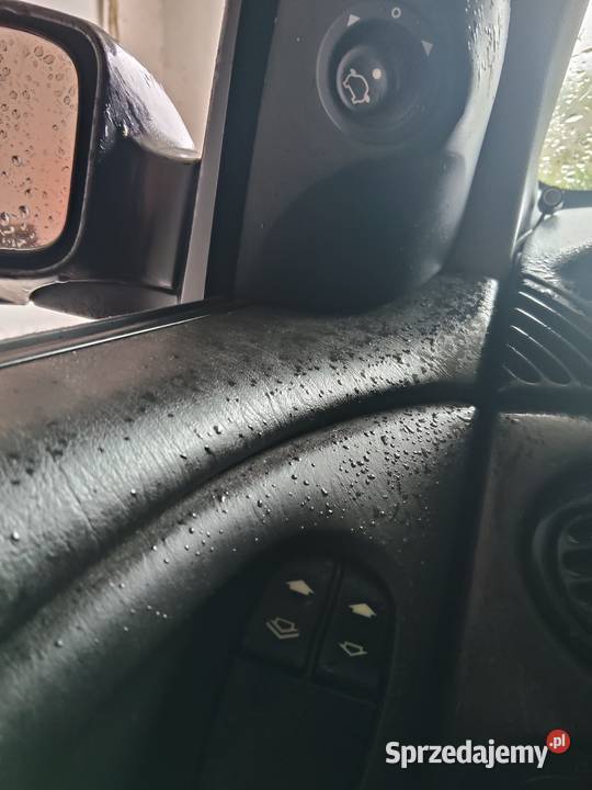 Sprawna Foczka małe pieniążki Łask