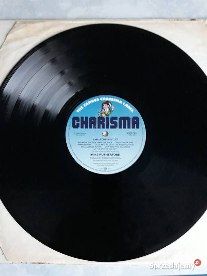 MIKE RUTHERFORD Smallcreeps Day Płyty i kasety Rzeszów