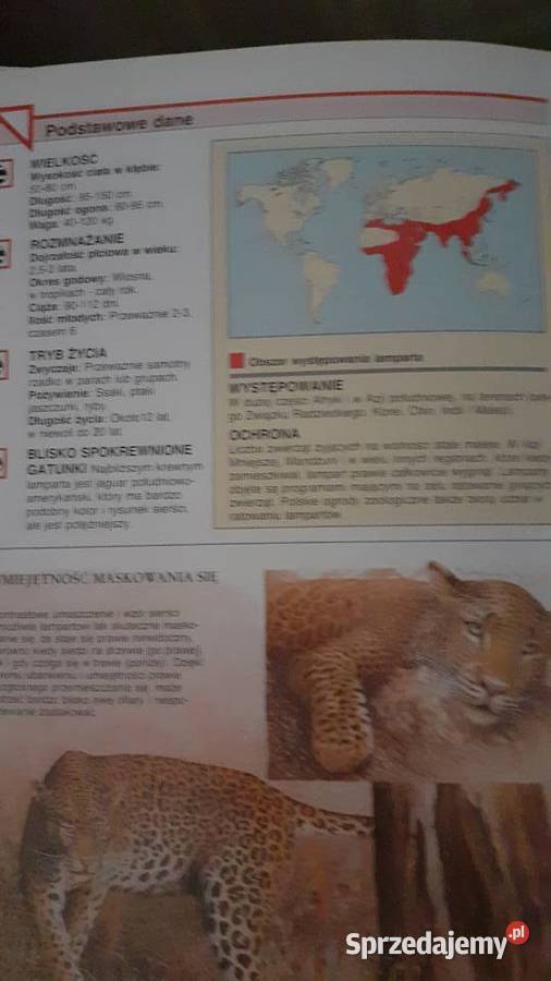 Encyklopedia zwierząt A do Z Szczecin sprzedam