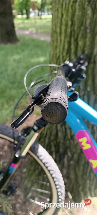 Marin Bobcat Trail 3 M Rower górski MTB Leszno