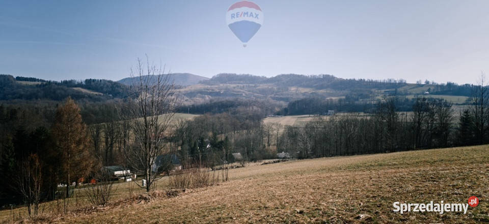 Działka budowlana pod lasem