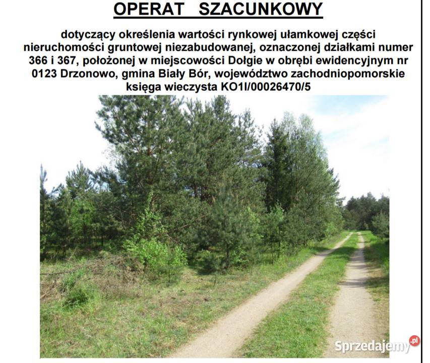 Syndyk przetarg na sprzedaż UDZIAŁU w zachodniopomorskie Drzonowo