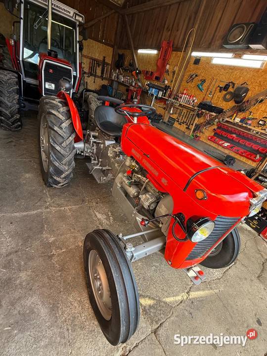 Ferguson 825 zarej mth 30 1960r Sieklówka