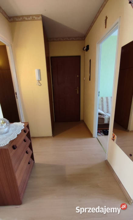 Mieszkanie 3 pokojowe 4787 m2 piętro 4 Włocławek 4687zł/m2 sprzedam