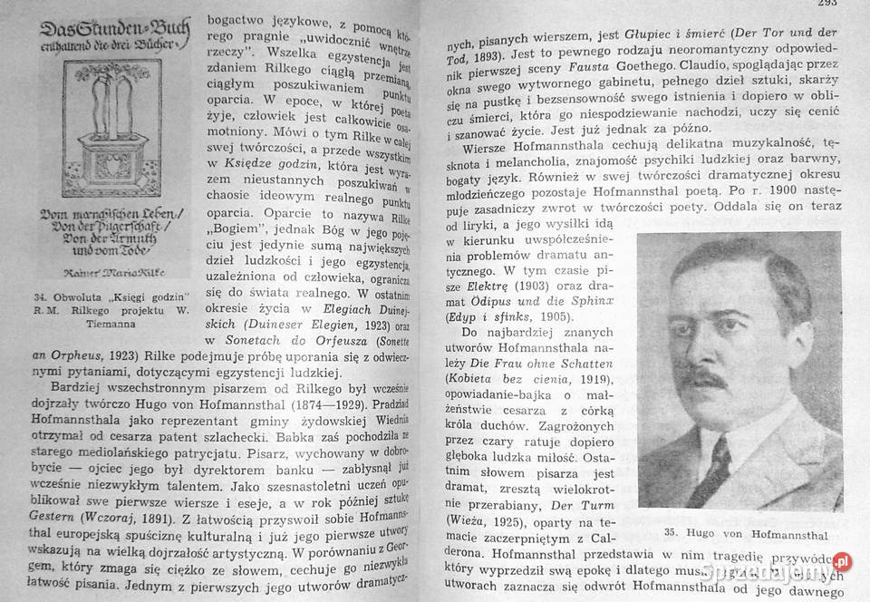 Historia literatury niemieckiej Marian Szyrocki lubelskie Chełm