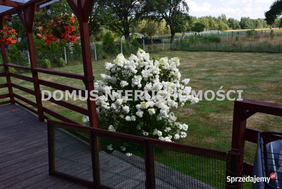 Działka Wiączyń Dolny 38714m2 łódzkie